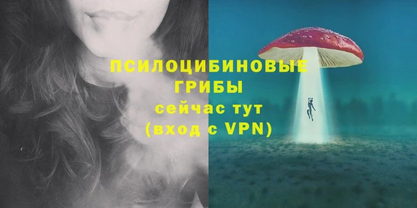 марихуана Абаза