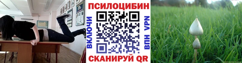 mega зеркало  Мурино  Галлюциногенные грибы GOLDEN TEACHER 